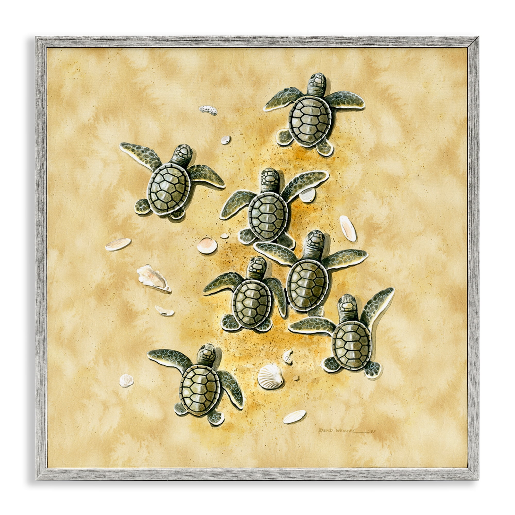 Stupell Industries Baby Sea Turtles Shore Animals Painting Gray Framed Art Print Wall Art, 12 x 12