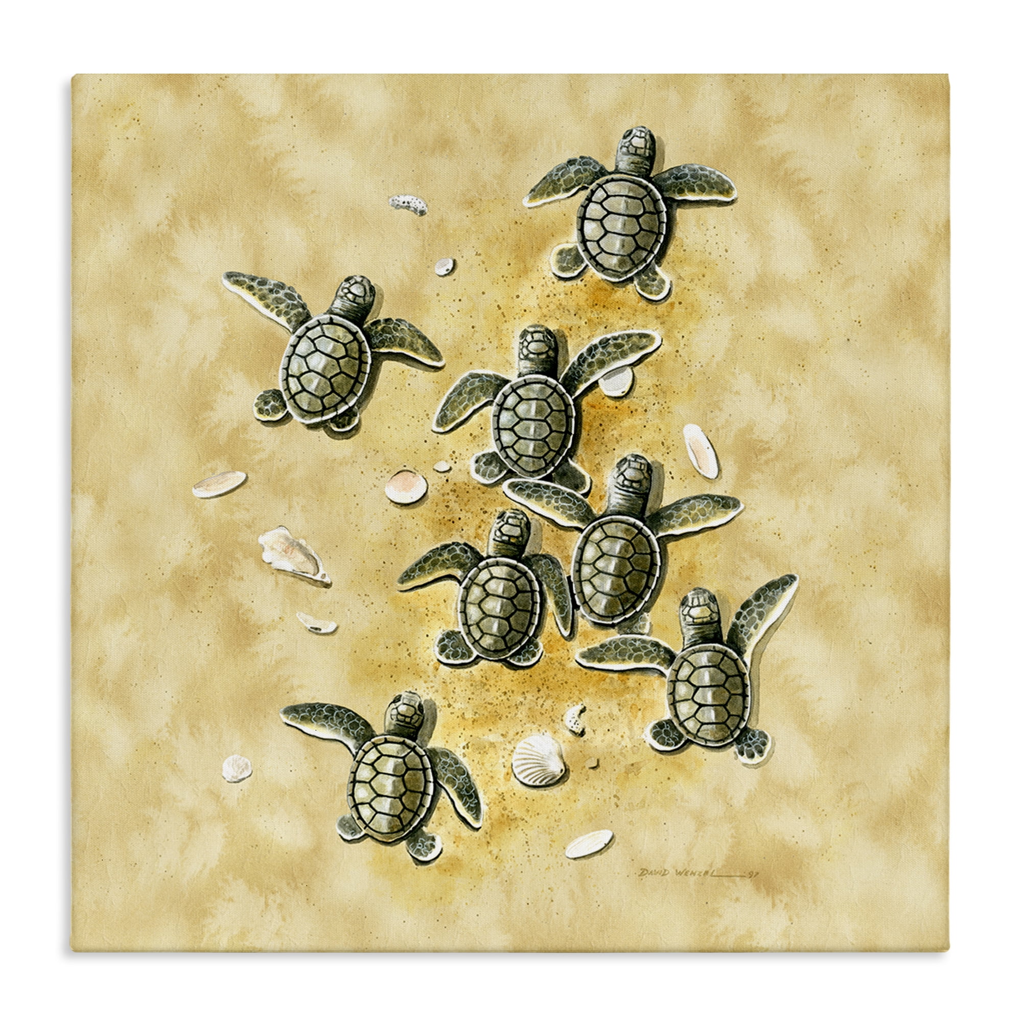 Stupell Industries Baby Sea Turtles Shore Animals Painting Wrapped Canvas Art Print Wall Art, 30 x 30