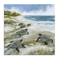 thumbnail image 1 of Stupell Industries Rustic Lodge Baby Sea Turtles on Beach Canvas Art, 17 x 17, by Susan Winget, 1 of 8