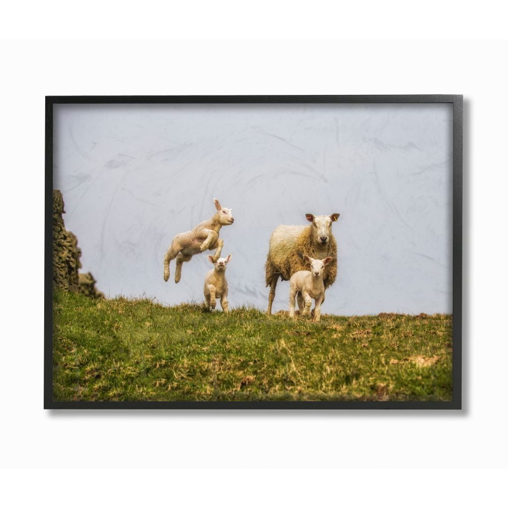Stupell Industries Baby Sheep Family Farm Animal Landscape Photo Framed Giclee Texturized Art by Villager Jim