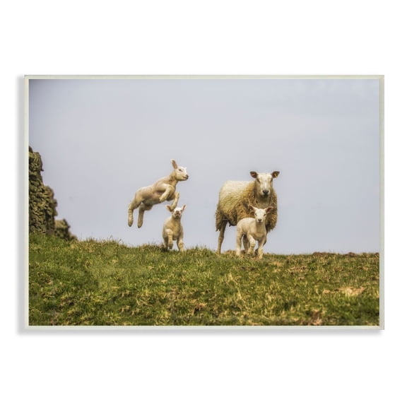 Stupell Industries Baby Sheep Family Farm Animal Landscape Photo Wall Plaque Art by Villager Jim