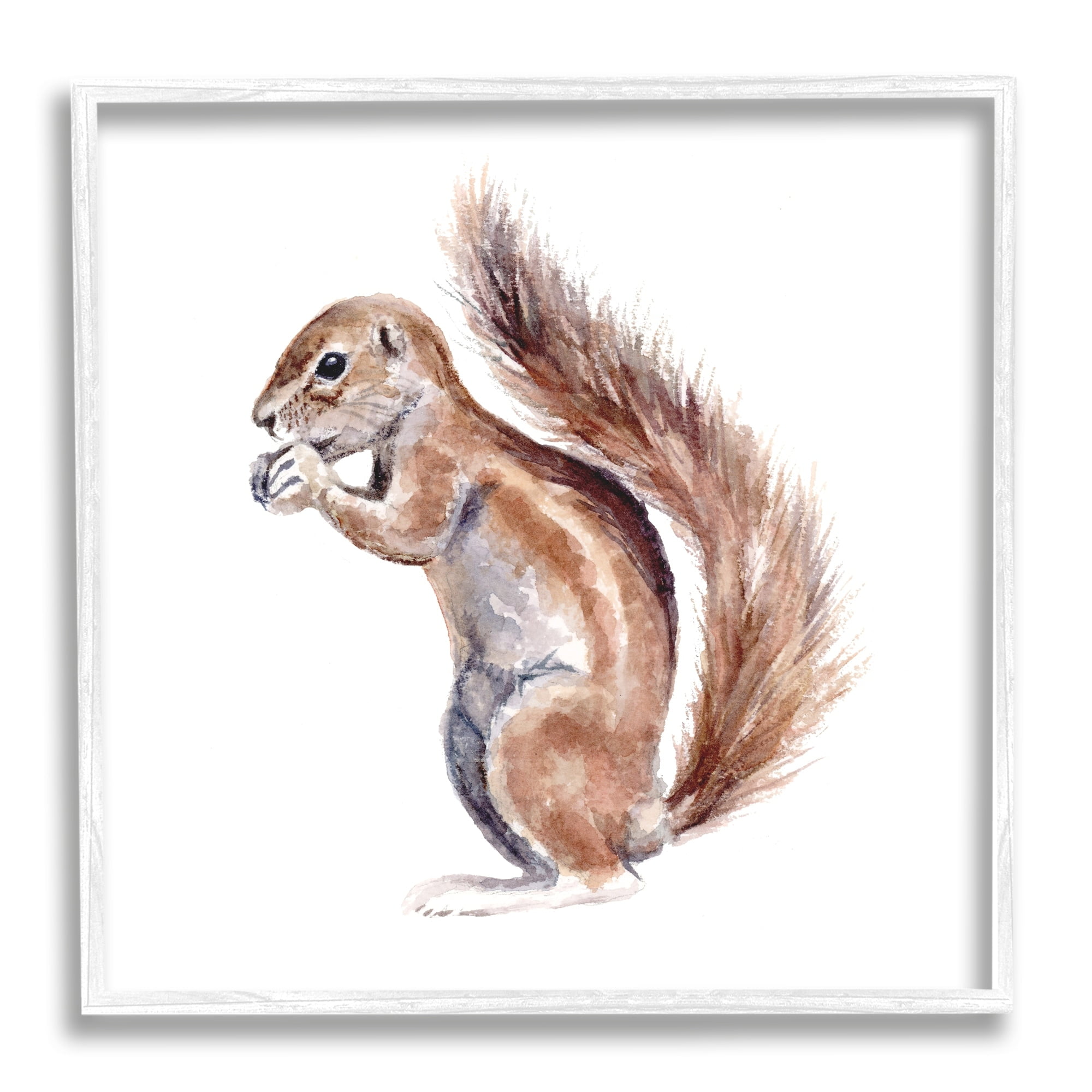 Stupell Industries Baby Squirrel Watercolor Painting Kids' Wild Animal, 24 x 24,Design by Fox Hollow Studios