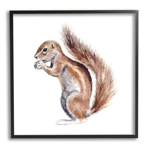 Stupell Industries Baby Squirrel Watercolor Painting Kids' Wild Animal, 24 x 24,Design by Fox Hollow Studios