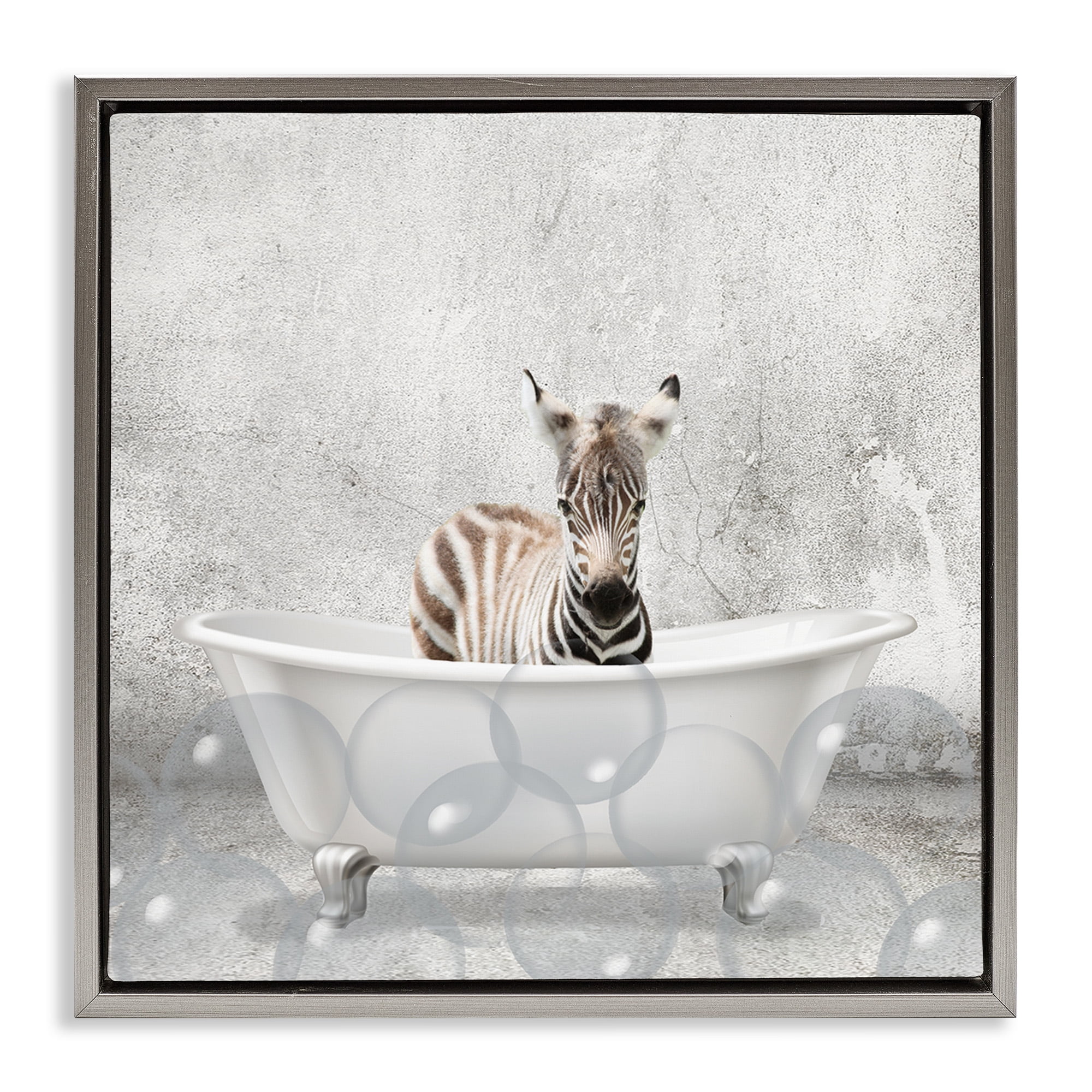 Stupell Industries Baby Zebra Bath Time Animals & Insects Painting Gray Floater Framed Canvas Art Print Wall Art, 18 x 18
