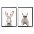 thumbnail image 1 of Stupell Industries Back & Front Bunnies Animals & Insects Painting Black Framed Art Print Wall Art, 11 x 14, Set of 2, 1 of 9