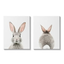 Stupell Industries Back & Front Bunnies Animals & Insects Painting Gallery Wrapped Canvas Print Wall Art, 16 x 20, Set of 2