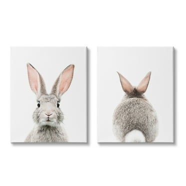 Stupell Industries Back & Front Bunnies Animals & Insects Painting Gallery Wrapped Canvas Print Wall Art, 16 x 20, Set of 2