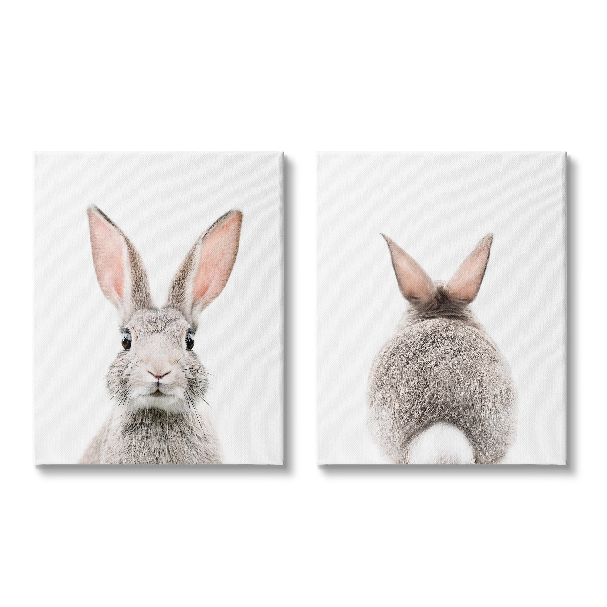Stupell Industries Back & Front Bunnies Animals & Insects Painting Gallery Wrapped Canvas Print Wall Art, 24 x 30, Set of 2