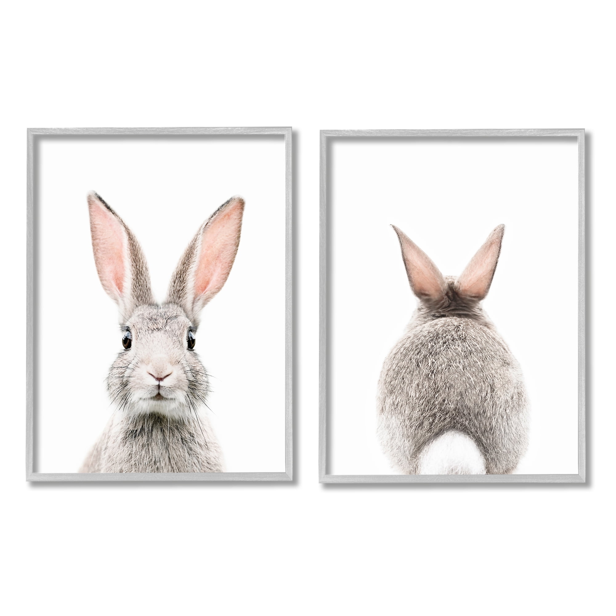 Stupell Industries Back & Front Bunnies Animals & Insects Painting Gray Framed Art Print Wall Art, 16 x 20, Set of 2
