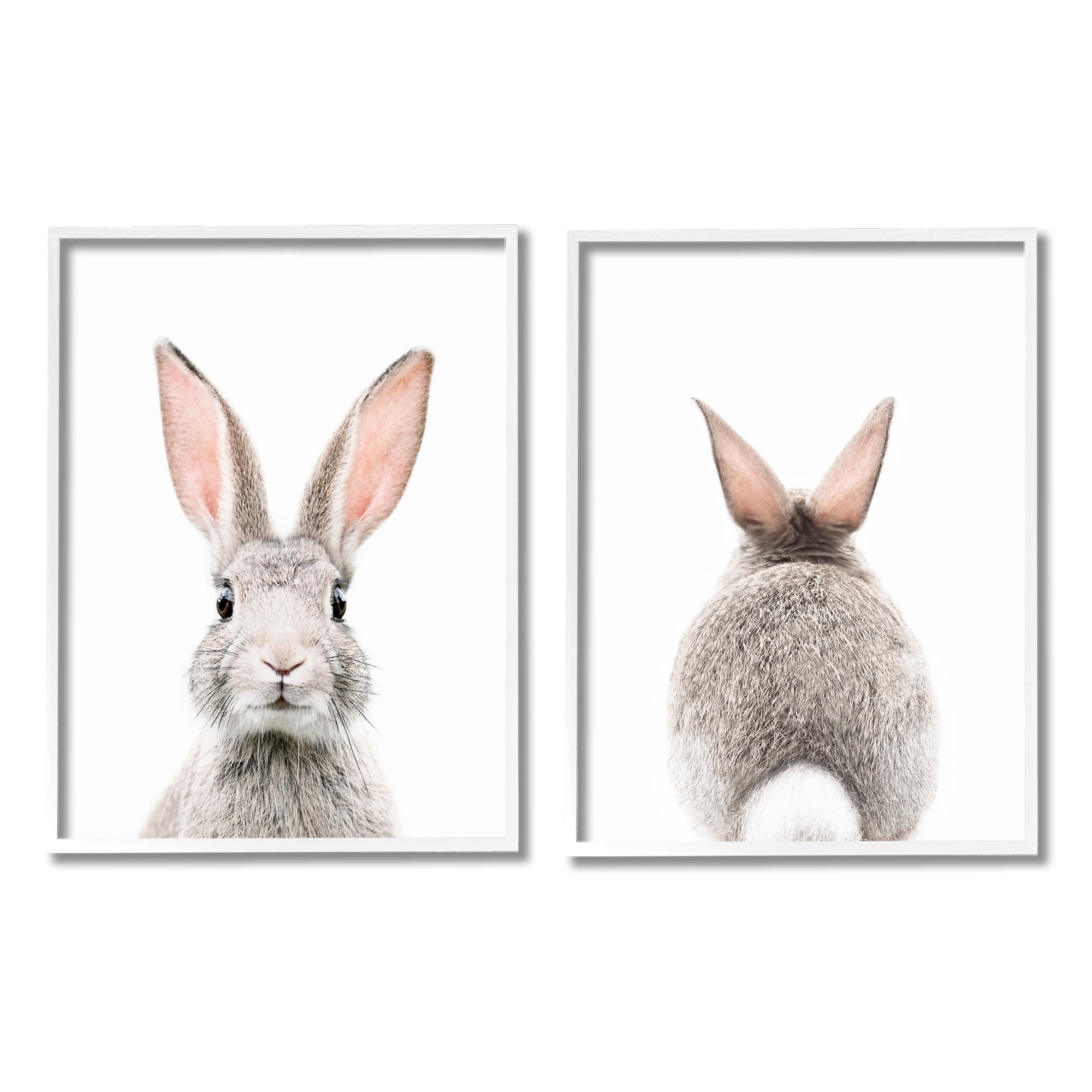 Stupell Industries Back & Front Bunnies Animals & Insects Painting White Framed Art Print Wall Art, 11 x 14, Set of 2