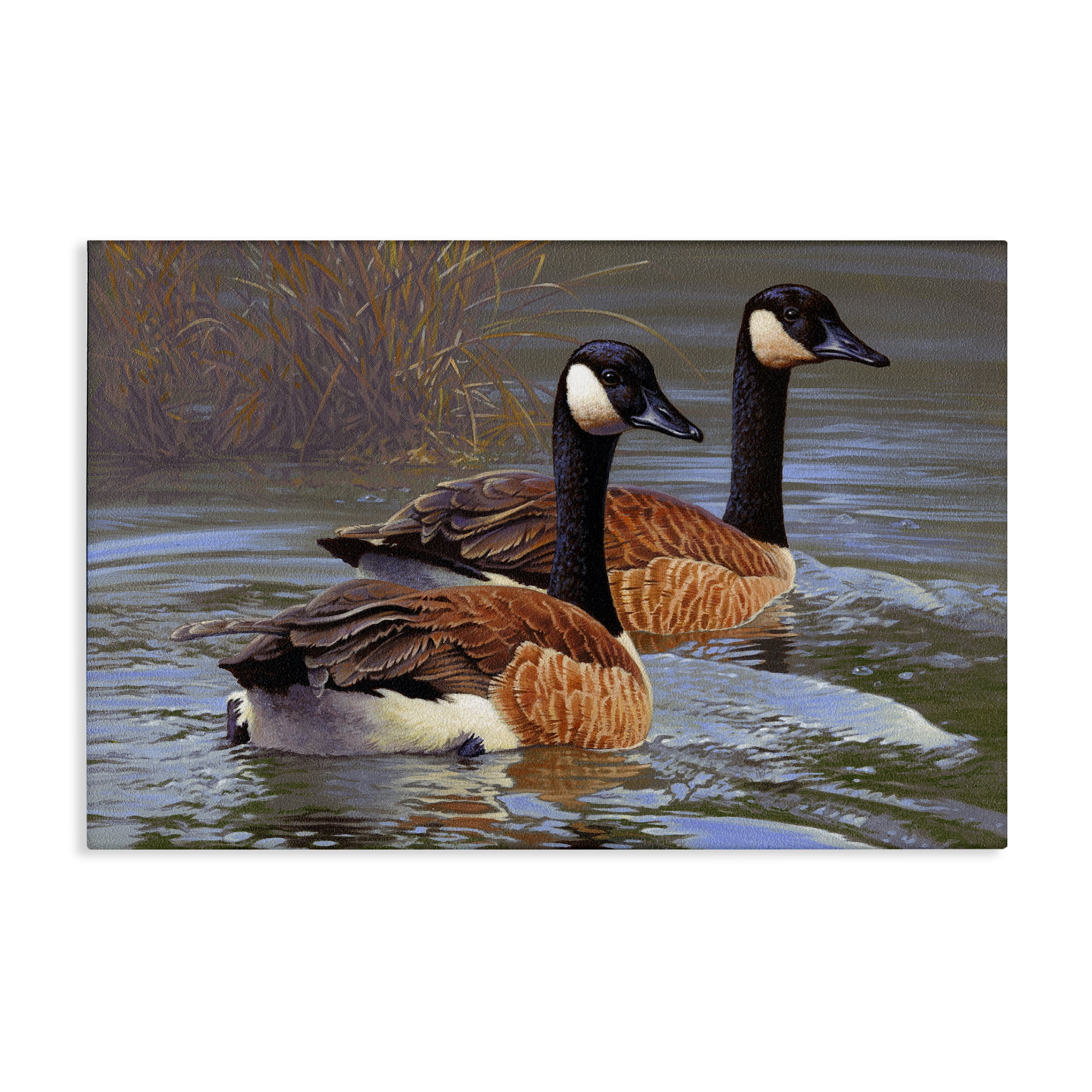Stupell Industries Backwater Canada Geese Animals Painting Wrapped Canvas Art Print Wall Art, 36 x 24