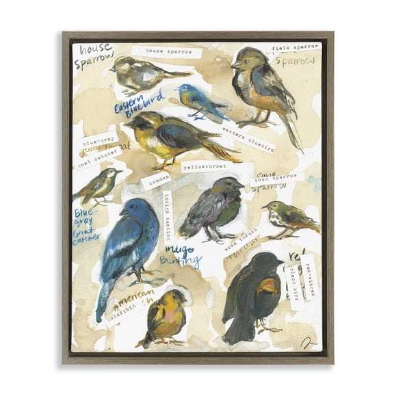 Stupell Industries Backyard Birds Identities Animals Painting Brown Floater Framed Canvas Art Print Wall Art, 17 x 21
