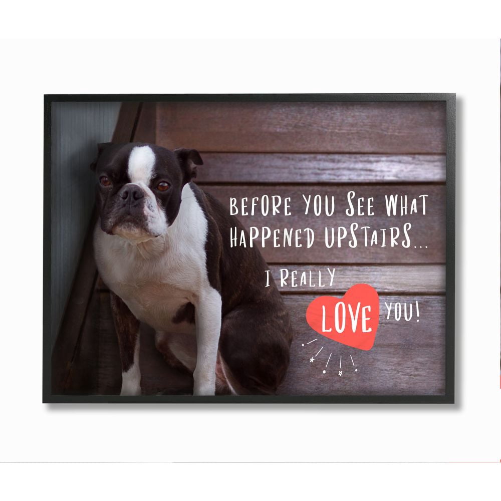 Stupell Industries Bad Dog Apology Family Pet Humor Boston Terrier Framed Wall Art Design by Ziwei Li, 11" x 14", Black Framed
