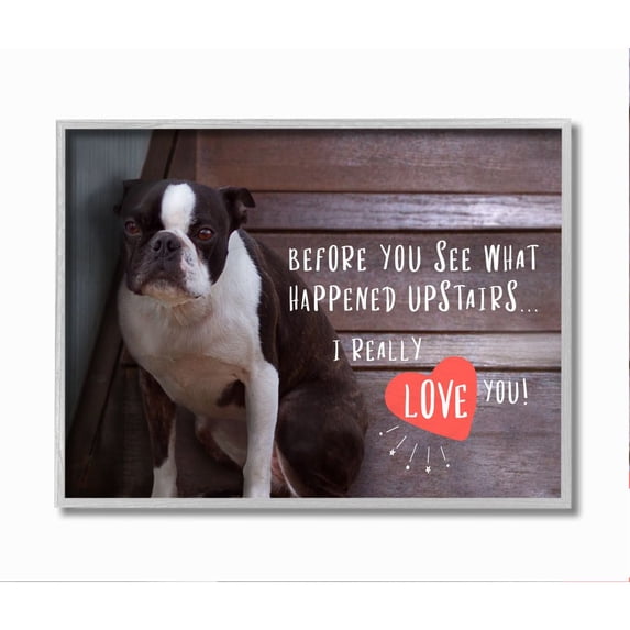 Stupell Industries Bad Dog Apology Family Pet Humor Boston Terrier Framed Wall Art Design by Ziwei Li, 16" x 20", Gray Framed