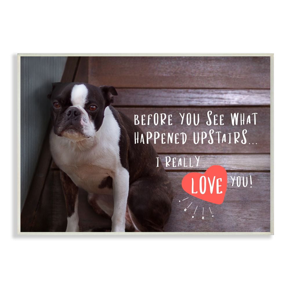 Stupell Industries Bad Dog Apology Family Pet Humor Boston Terrier Graphic Art Unframed Art Print Wall Art, 13x19, by Ziwei Li