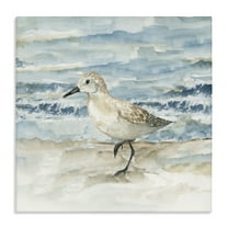 Stupell Industries Balancing Sandpiper on Shore Animals Painting Wrapped Canvas Canvas Art Print Wall Art, 36 x 36