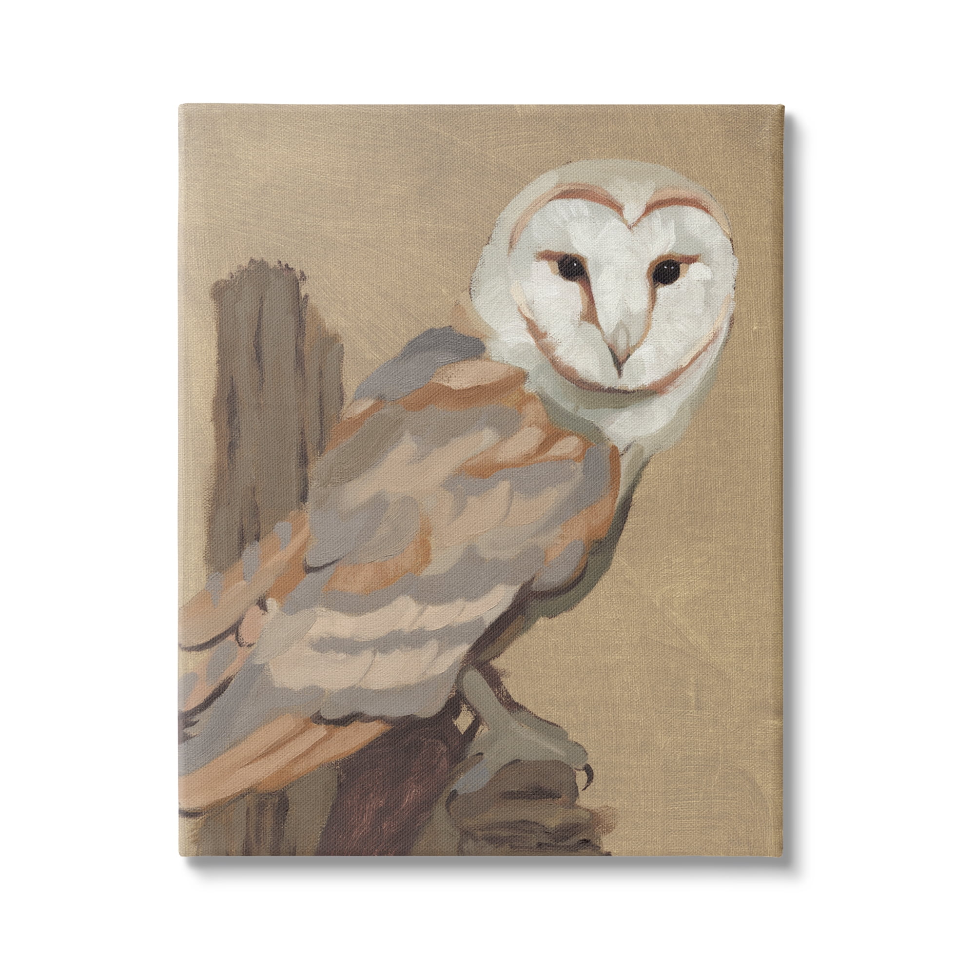 Stupell Industries Barn Owl Bird Perched Gazing Wildlife Animal Painting Painting Gallery Wrapped Canvas Print Wall Art, Design by Jacob Green
