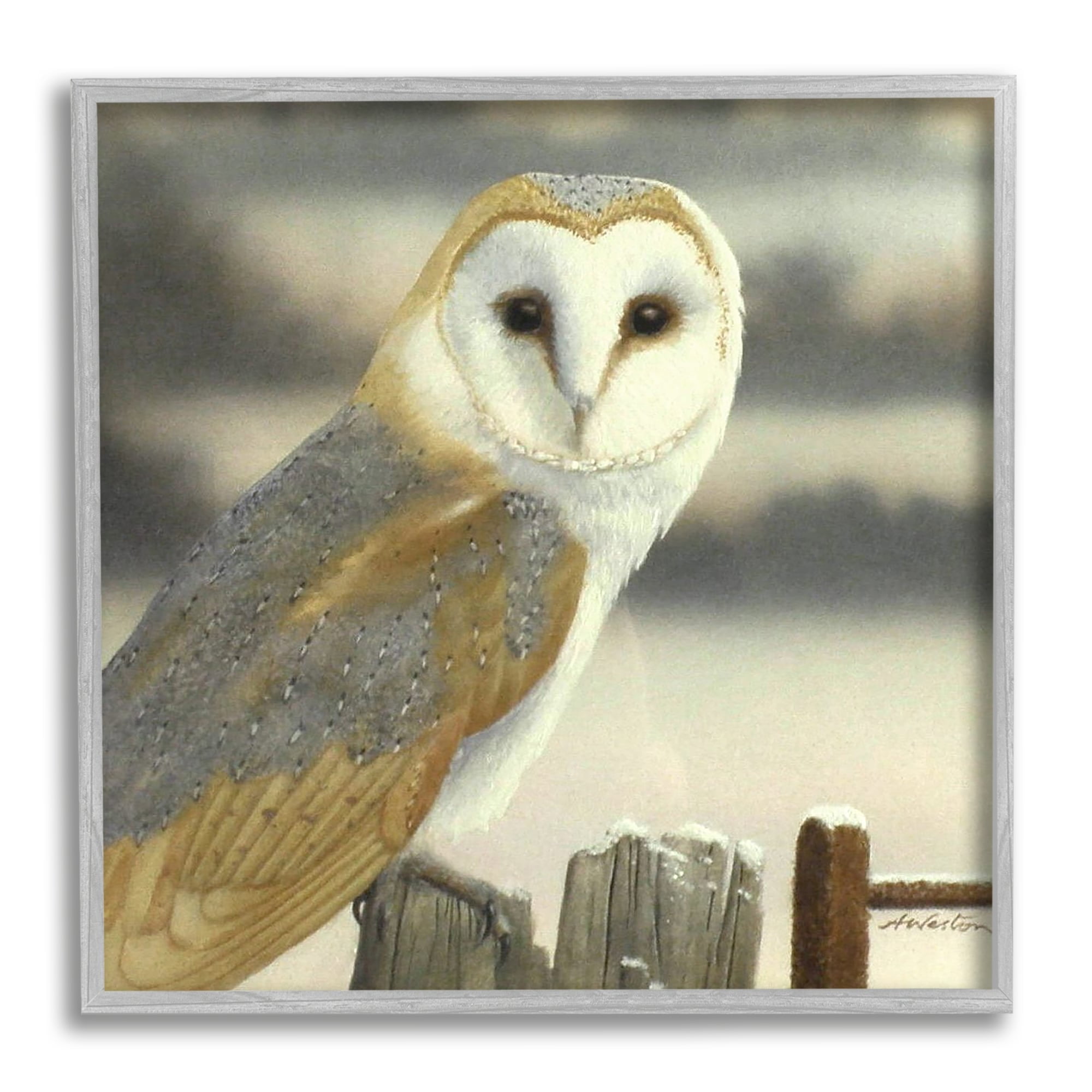 Stupell Industries Barn Owl Gazing Perched Niveous Rural Fence Painting Gray Framed Art Print Wall Art, Design by Alan Weston