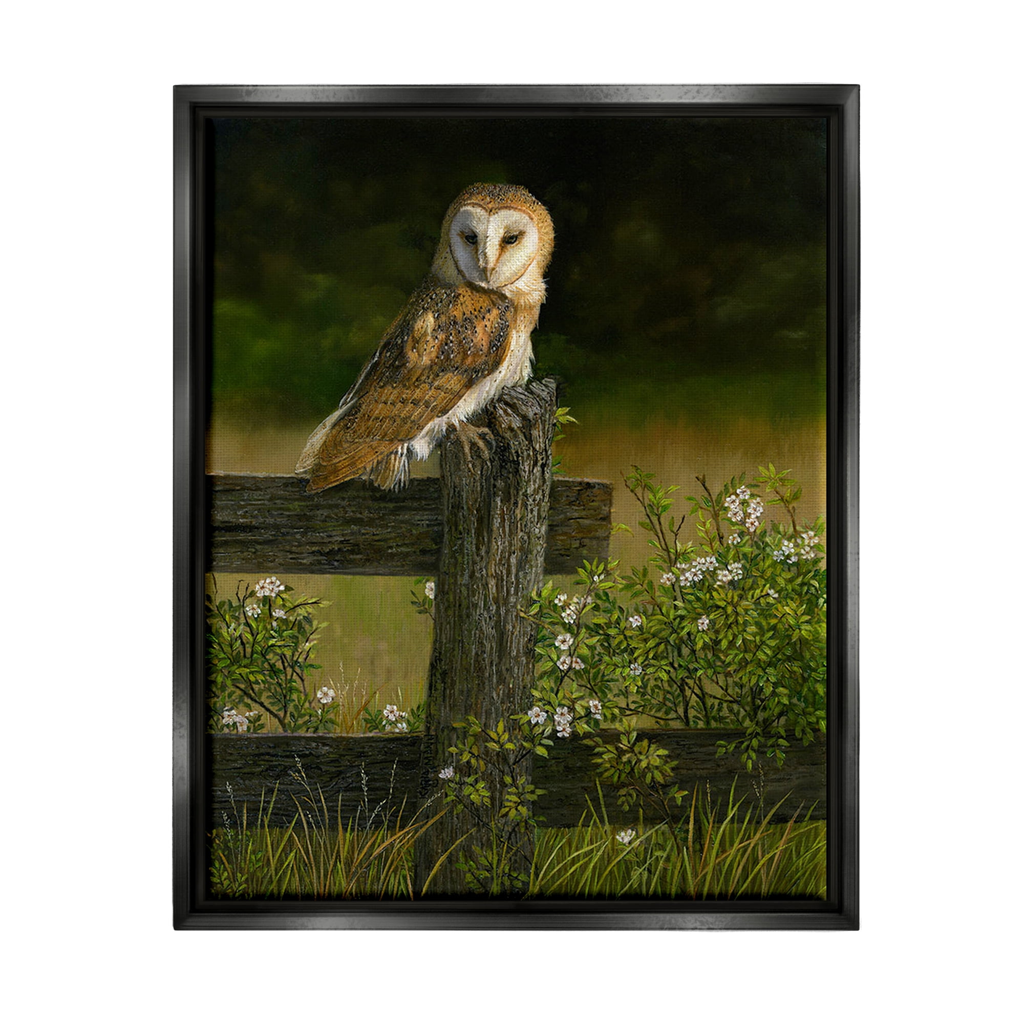 Stupell Industries Barn Owl on Fence Animals & Insects Painting Black Floater Framed Canvas Art Print Wall Art, 25 x 31