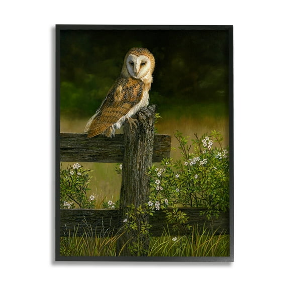 Stupell Industries Barn Owl on Fence Animals & Insects Painting Black Framed Art Print Wall Art, 11 x 14