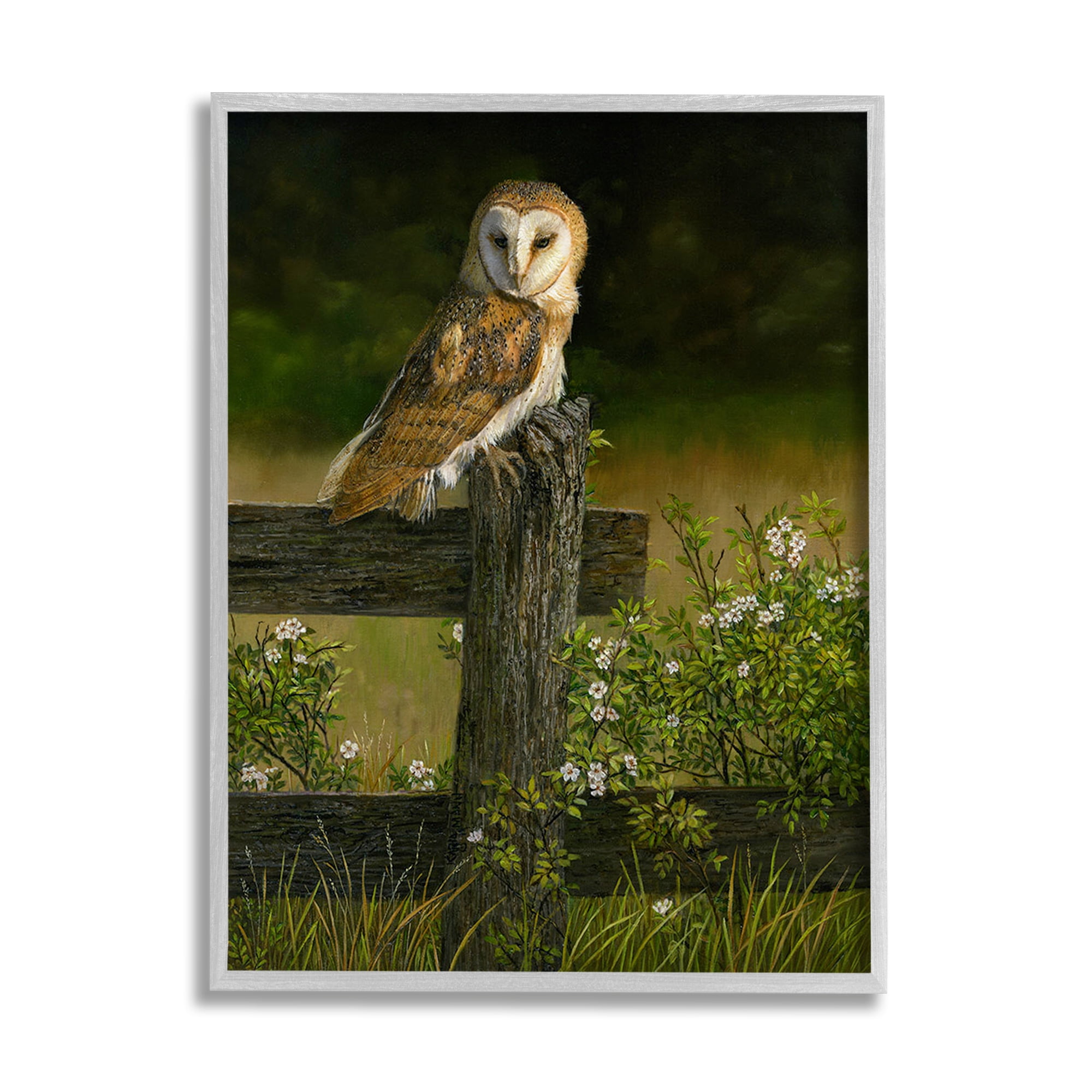 Stupell Industries Barn Owl on Fence Animals & Insects Painting Gray Framed Art Print Wall Art, 16 x 20