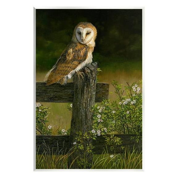 Stupell Industries Barn Owl on Fence Animals & Insects Painting Unframed Art Print Wall Art, 10 x 15
