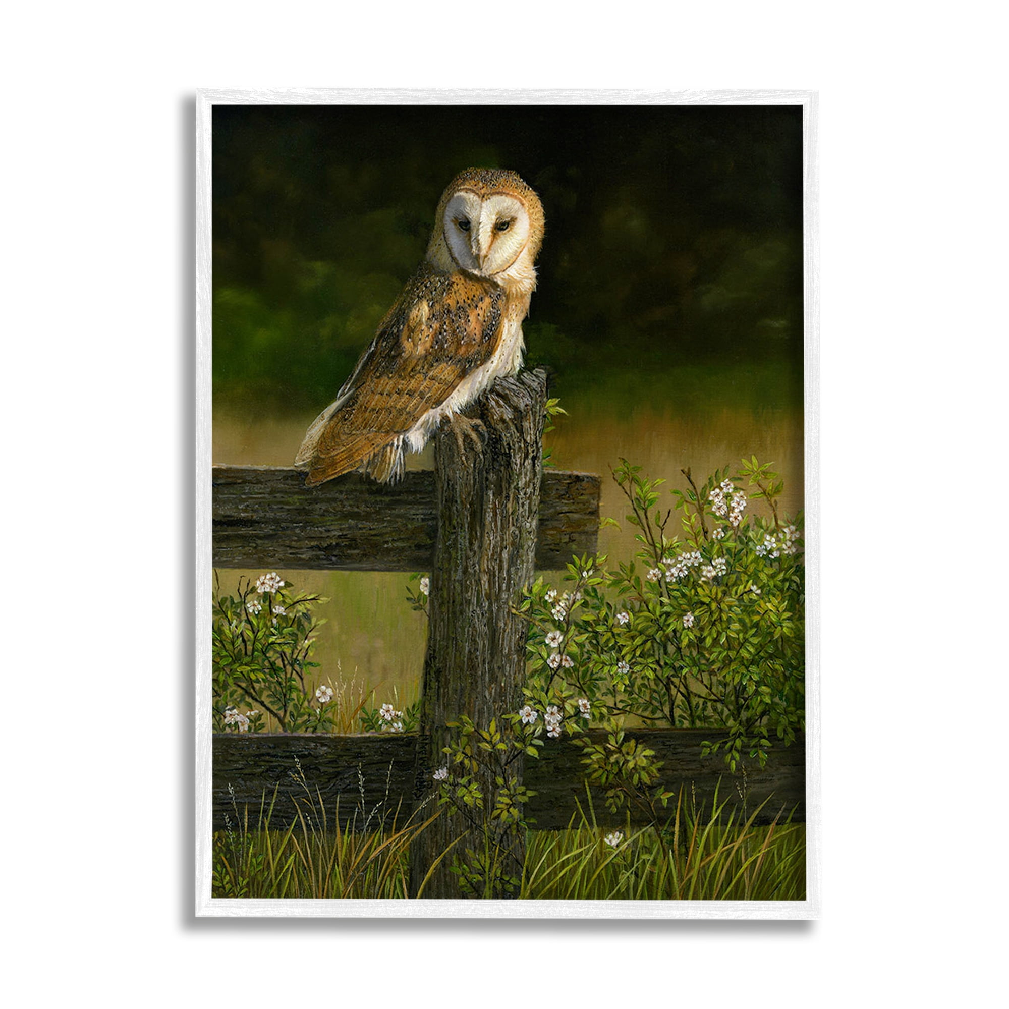 Stupell Industries Barn Owl on Fence Animals & Insects Painting White Framed Art Print Wall Art, 24 x 30