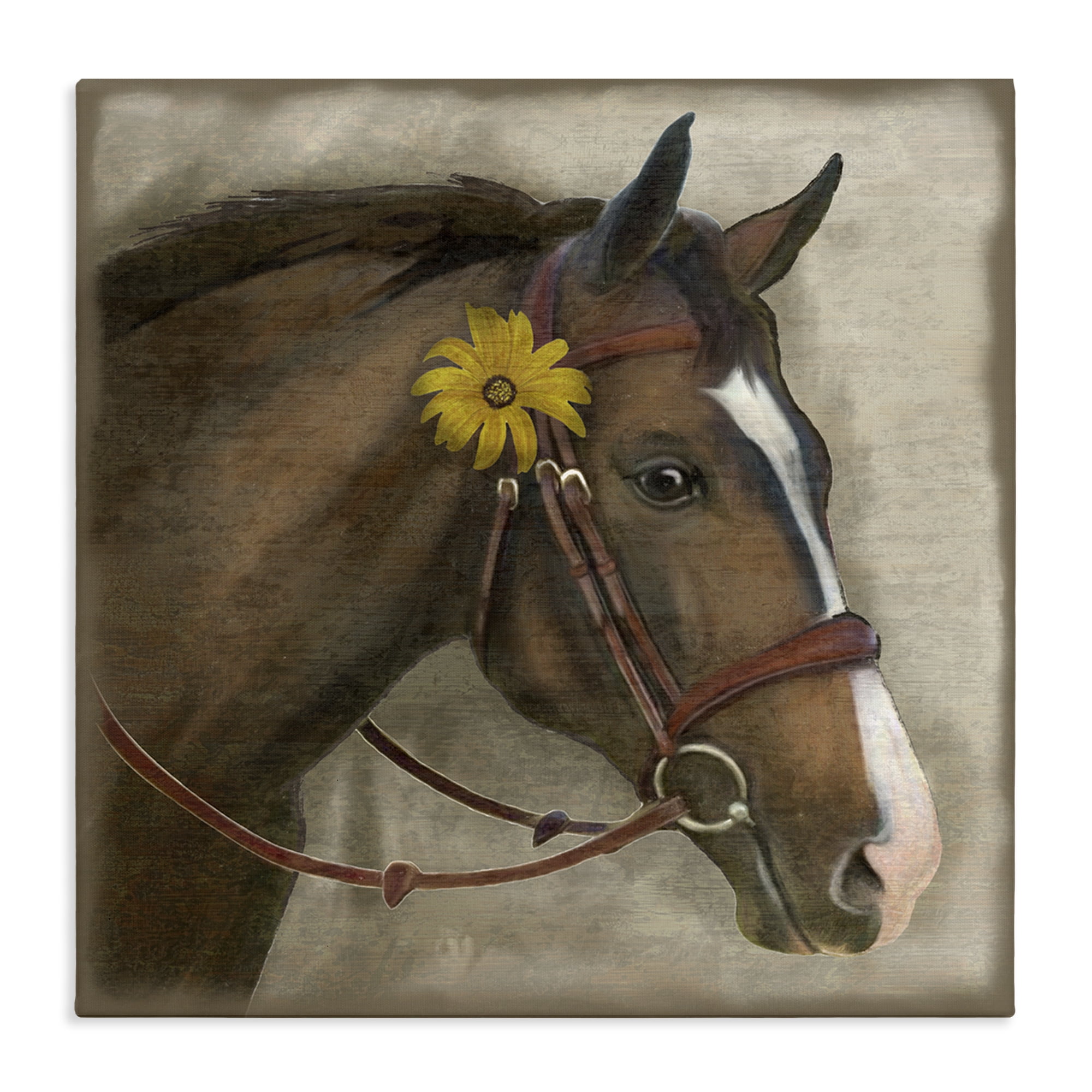 Stupell Industries Barnyard Horse with Daisy Canvas Wall Art, design by Suzanne Nicoll