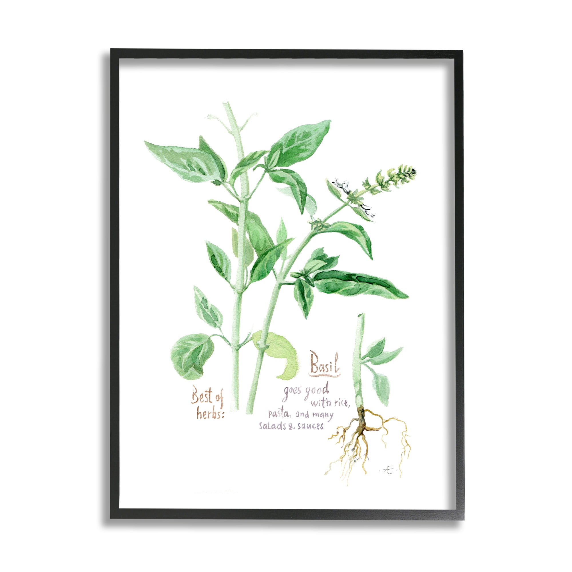 Stupell Industries Basil Plant Best Of Herbs Watercolor Garden Greens Food & Beverage Painting Black Framed Art Print Wall Art, 24 x 30