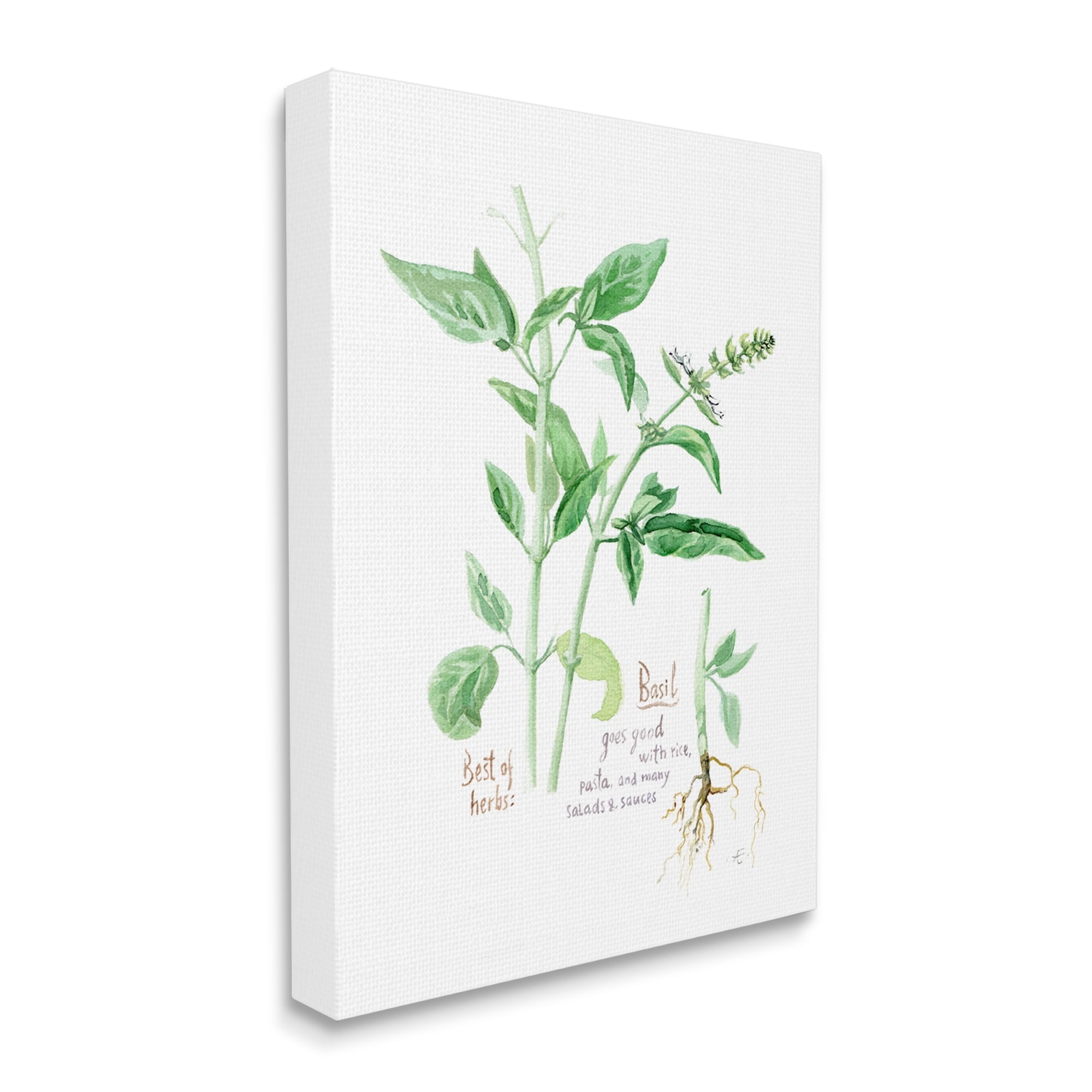 Stupell Industries Basil Plant Best Of Herbs Watercolor Garden Greens Food & Beverage Painting Gallery Wrapped Canvas Print Wall Art, 24 x 30