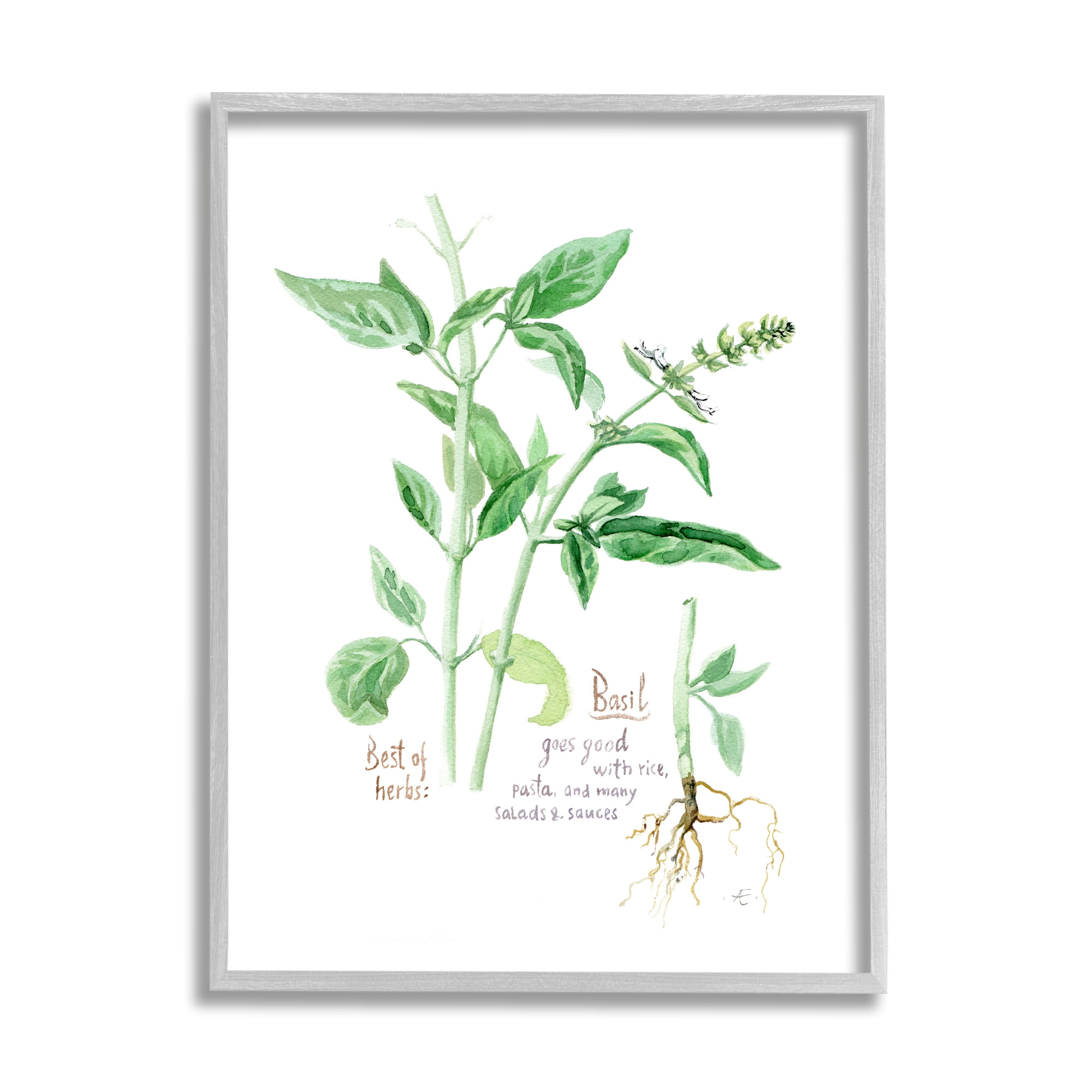 Stupell Industries Basil Plant Best Of Herbs Watercolor Garden Greens Food & Beverage Painting Gray Framed Art Print Wall Art, 16 x 20