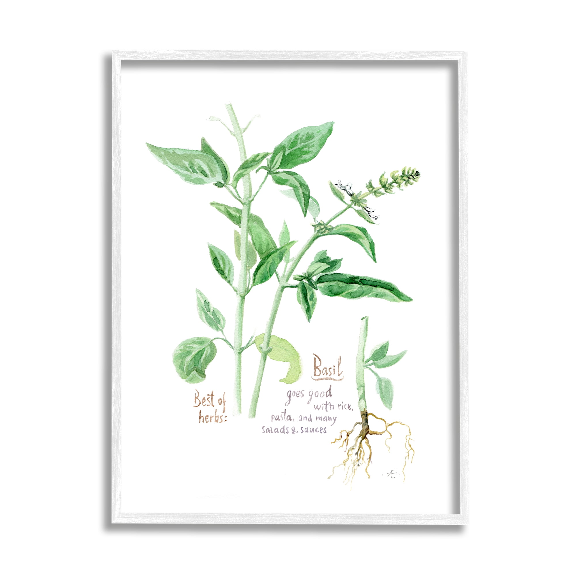 Stupell Industries Basil Plant Best Of Herbs Watercolor Garden Greens Food & Beverage Painting White Framed Art Print Wall Art, 24 x 30