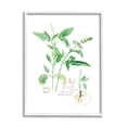 thumbnail image 1 of Stupell Industries Basil Plant Best Of Herbs Watercolor Garden Greens Food & Beverage Painting White Framed Art Print Wall Art, 24 x 30, 1 of 7