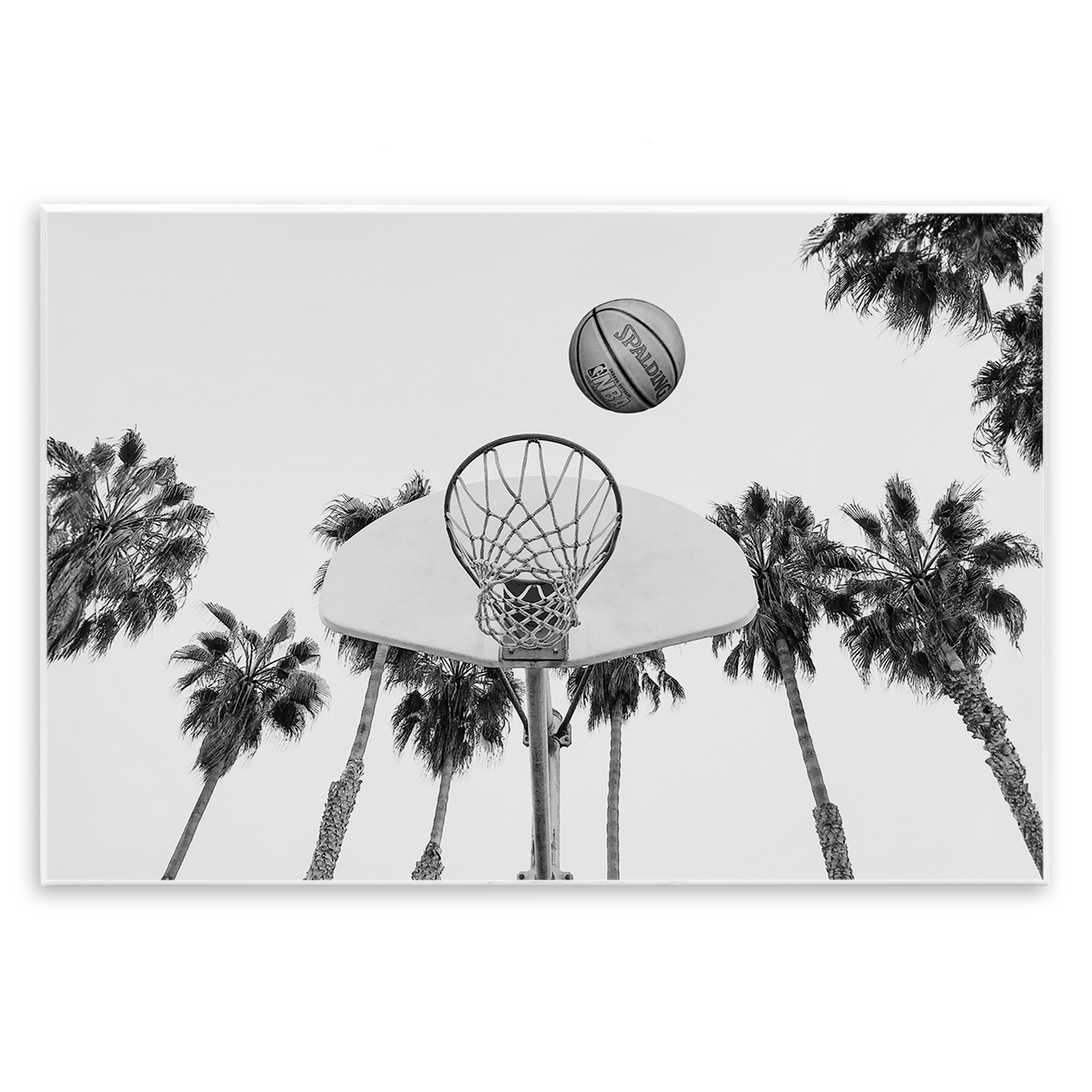 Stupell Industries Basketball Hoop with Palms Sports Painting Unframed Art Print Wall Art, 19 x 13