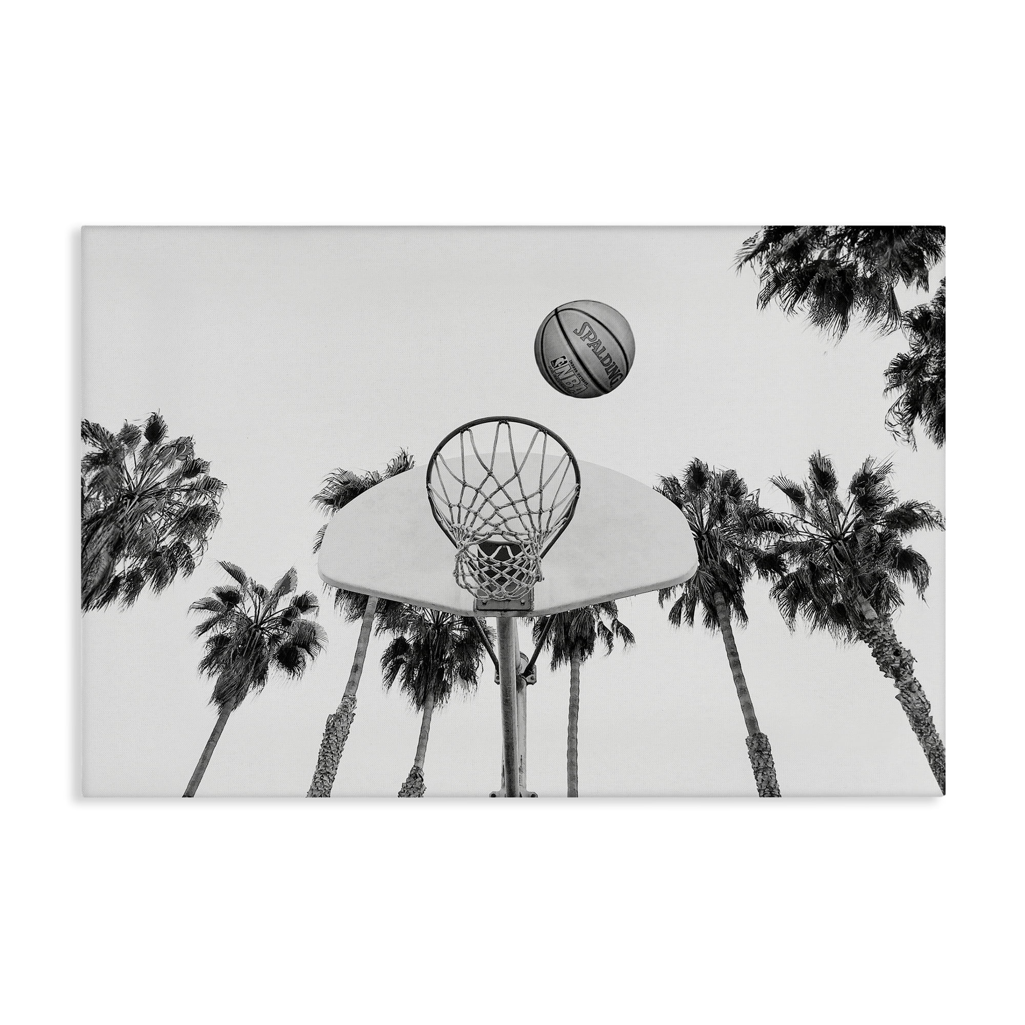 Stupell Industries Basketball Hoop with Palms Sports Painting Wrapped Canvas Art Print Wall Art, 45 x 30