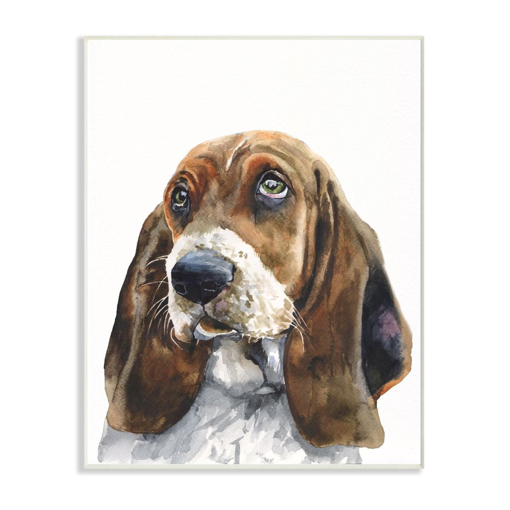 Stupell Industries Basset Hound Dog Pet Animal Watercolor Painting Wall Plaque Art by George Dyachenko