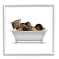 thumbnail image 1 of Stupell Industries Bathroom Wildlife Bear in Tub Graphic Art White Framed Art Print Wall Art, Design by Annalisa Latella, 1 of 8