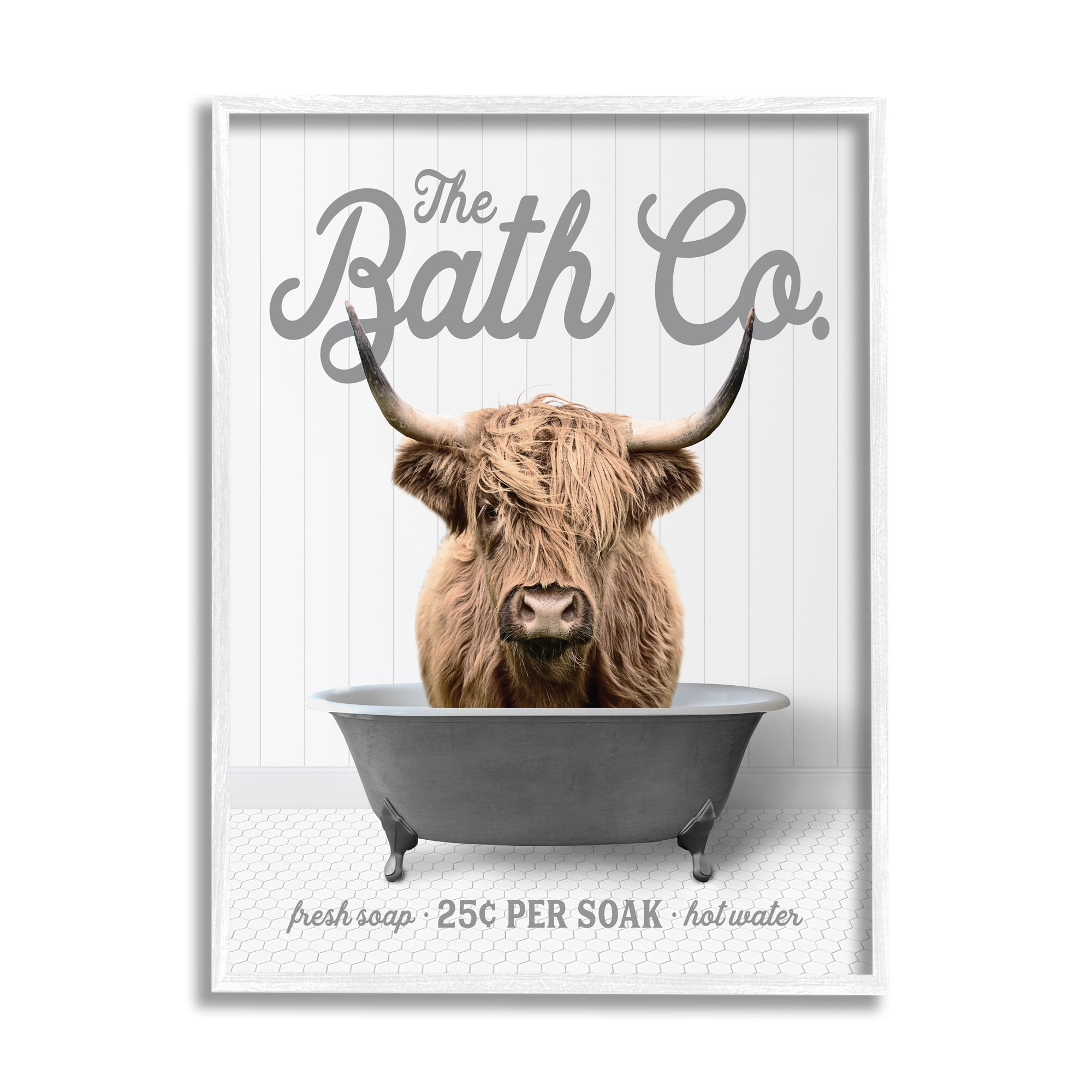 Highland Cow in Bathtub White Framed Canvas Print, 16x20