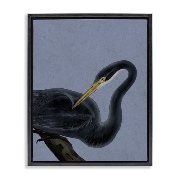 Stupell Industries Bayou Heron Bird Black Framed Floater Canvas Wall Art design by Grace Popp, 31 x 25