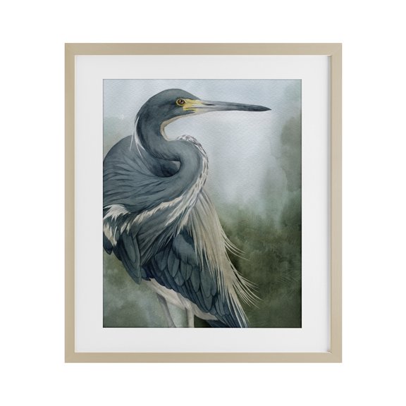 Stupell Industries Bayou King Bird Birch Framed Print Under Glass design by Grace Popp, 16 x 13