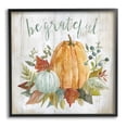 thumbnail image 1 of Stupell Industries Be Grateful Autumnal Botanicals Graphic Art Black Framed Art Print Wall Art, Design by Livi Finn, 1 of 7