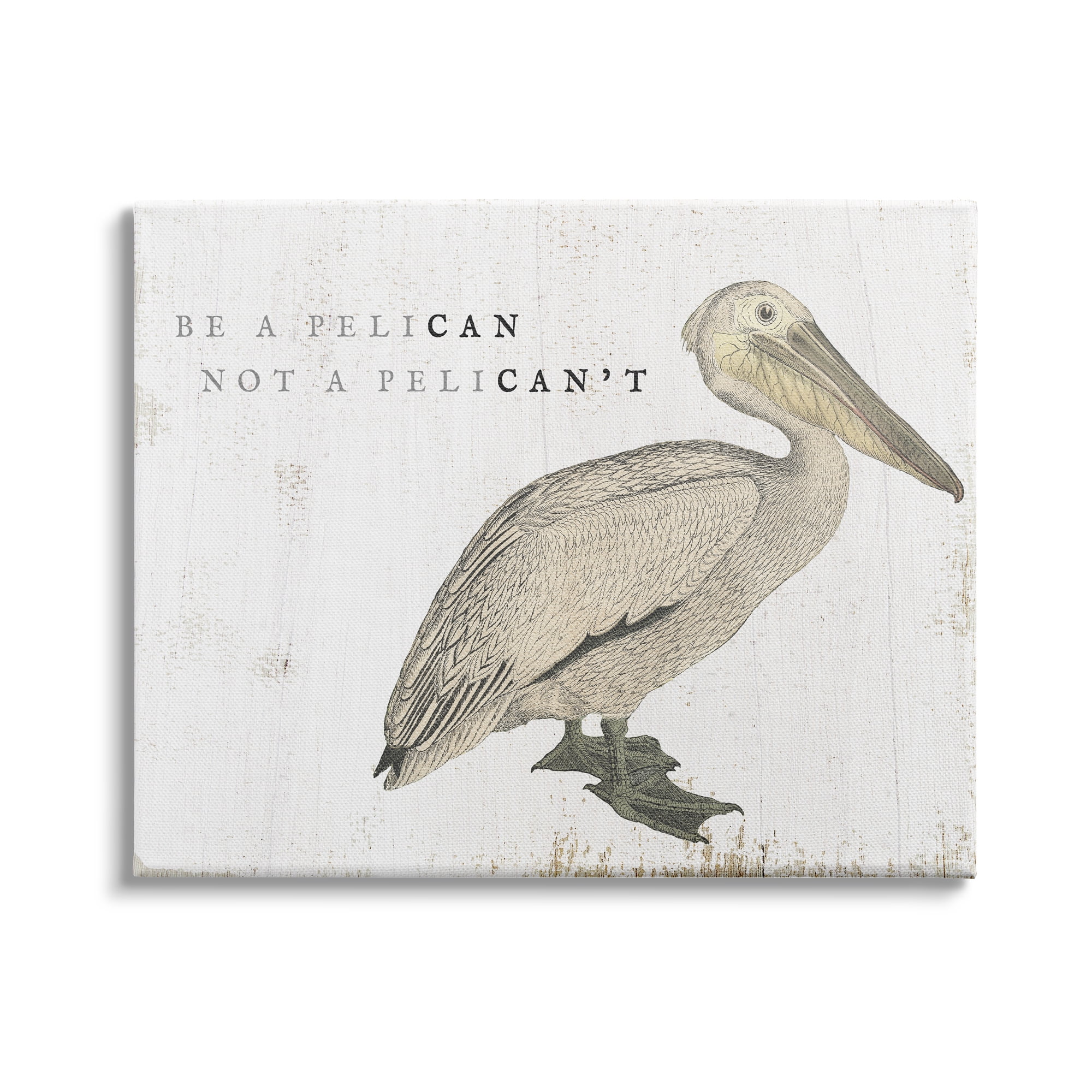 Stupell Industries Be Pelican not Pelican't Funny Beach Phrase Pun, 48 x 36,Design by Daphne Polselli