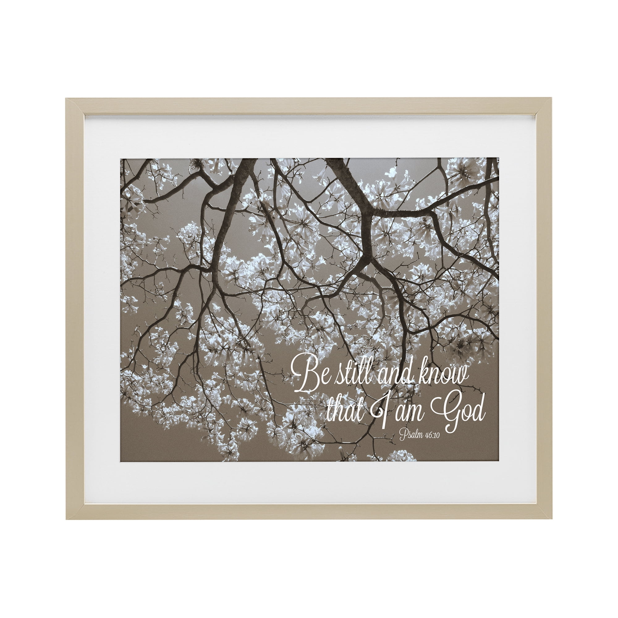 Stupell Industries Be Still Apple Blossoms Birch Framed Print Under Glass, design by Gail Peck