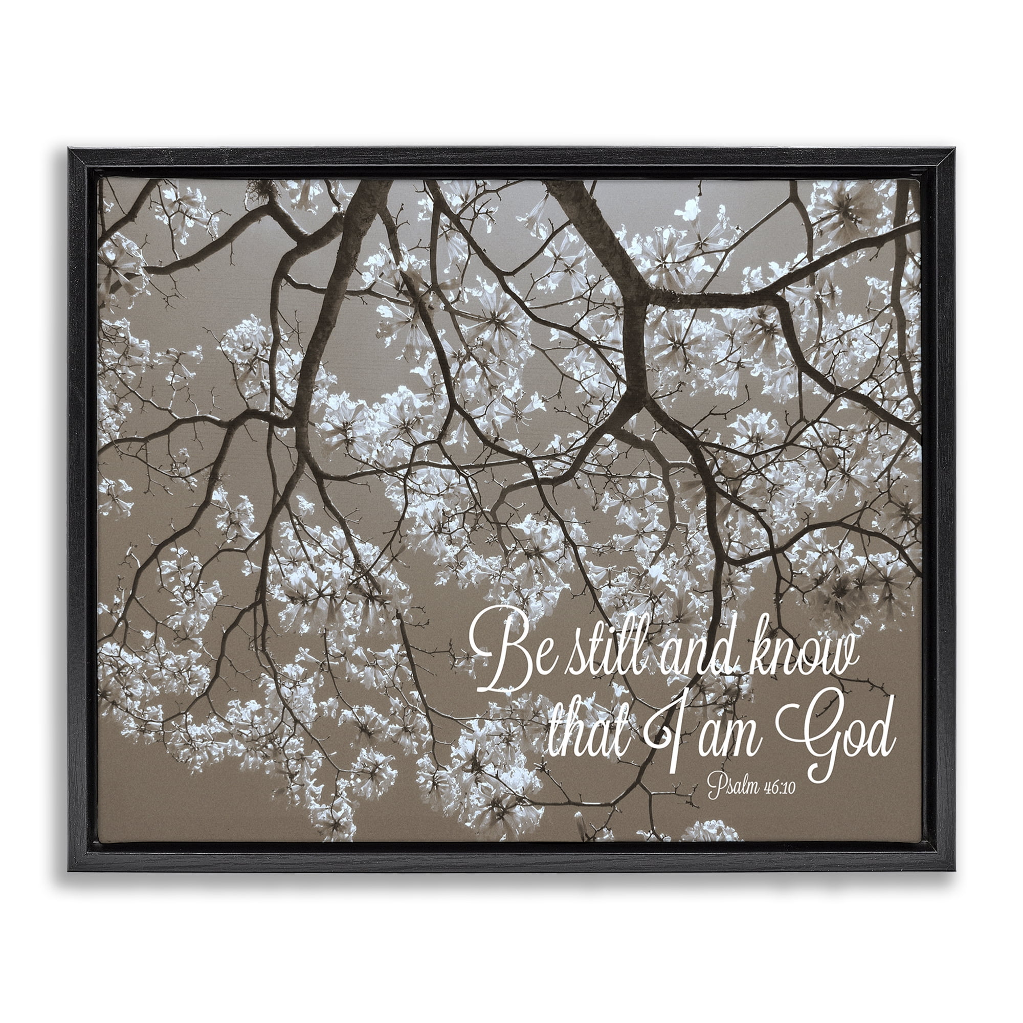 Stupell Industries Be Still Apple Blossoms Black Framed Floater Canvas Wall Art, design by Gail Peck