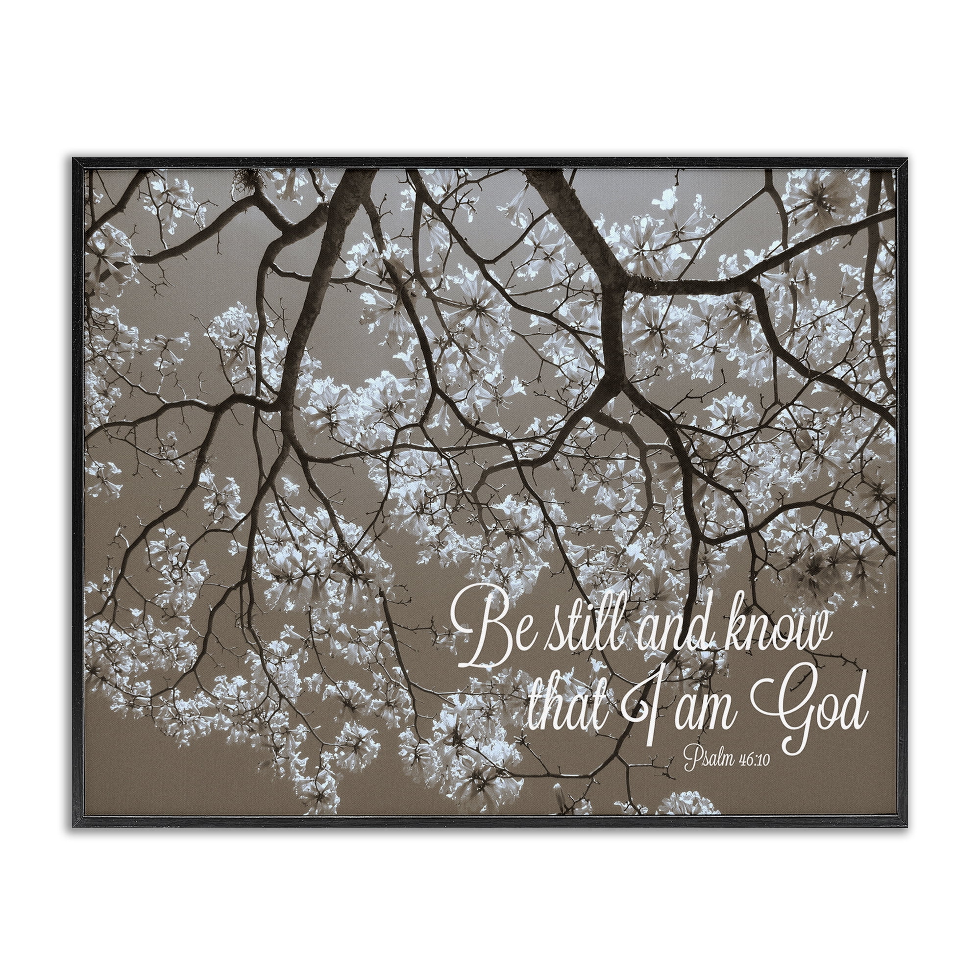 Stupell Industries Be Still Apple Blossoms Black Framed Giclee Art, design by Gail Peck