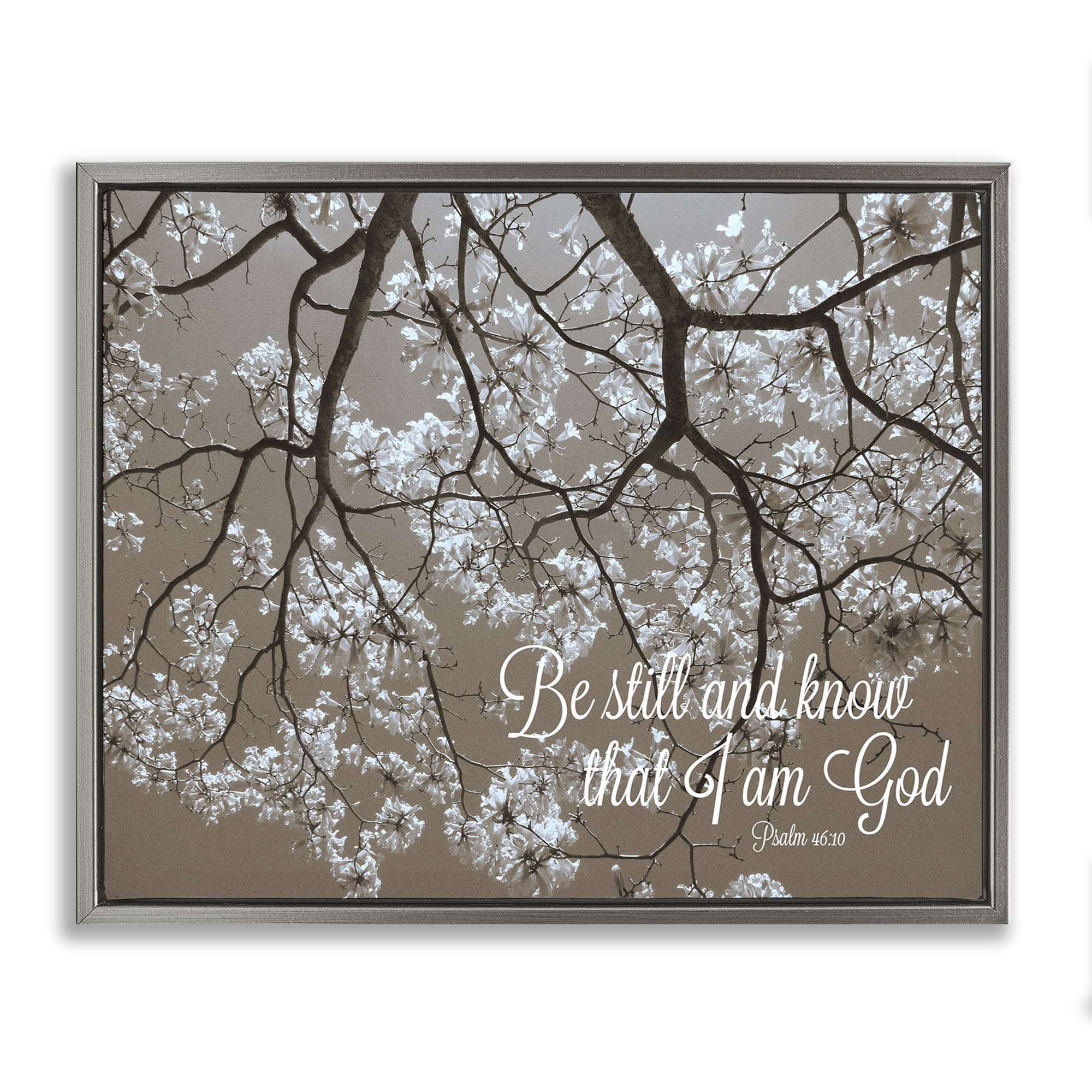 Stupell Industries Be Still Apple Blossoms Gray Framed Floater Canvas Wall Art, design by Gail Peck