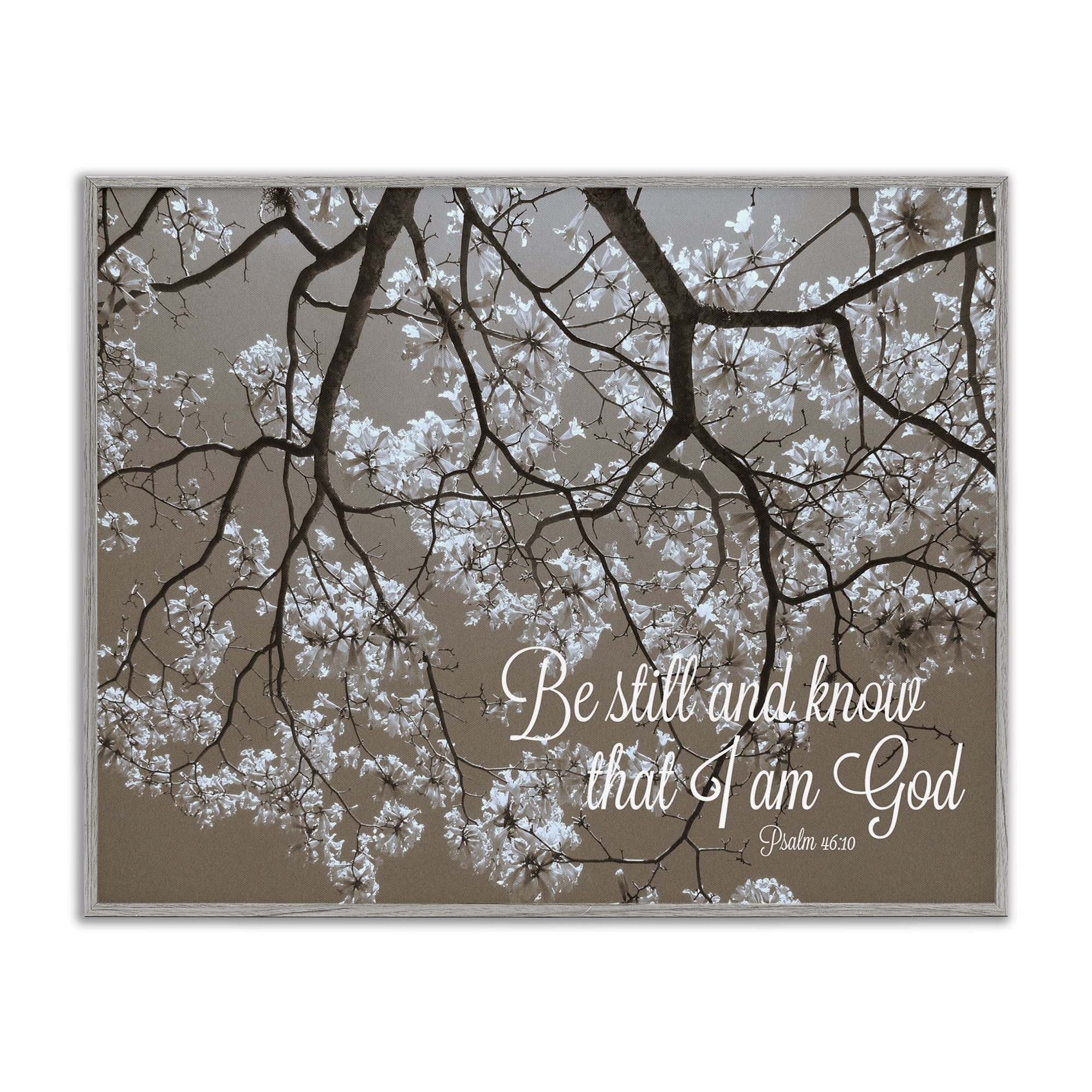 Stupell Industries Be Still Apple Blossoms Gray Framed Giclee Art, design by Gail Peck
