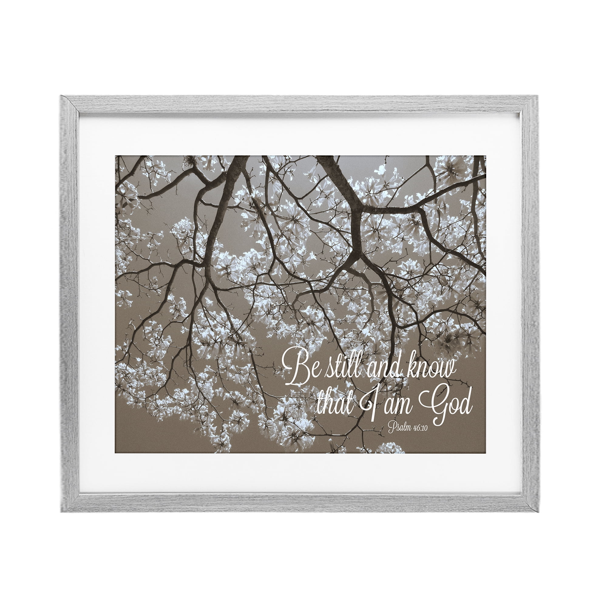 Stupell Industries Be Still Apple Blossoms Gray Framed Print Under Glass, design by Gail Peck