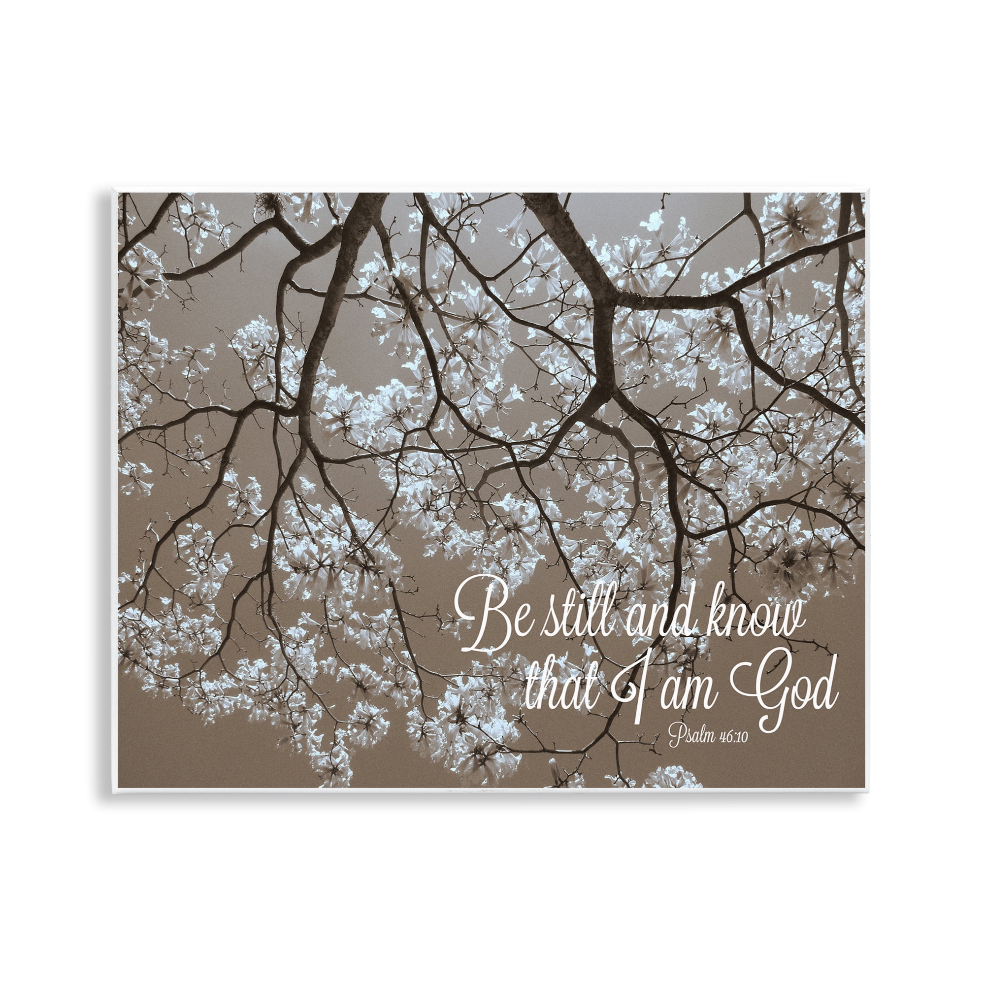 Stupell Industries Be Still Apple Blossoms Wall Plaque Art, design by Gail Peck