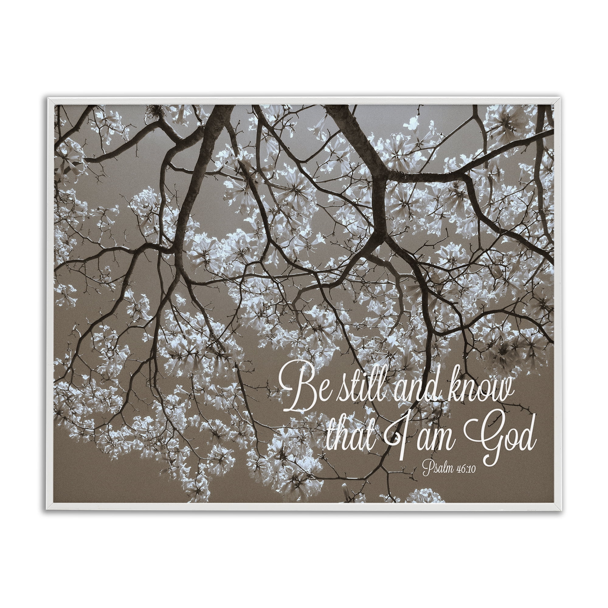 Stupell Industries Be Still Apple Blossoms White Framed Giclee Art, design by Gail Peck